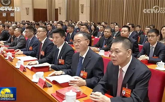 国字号荣誉！楚江集团党委书记、董事长姜纯先生荣膺“优秀中国特色社会主义事业建设者”称号