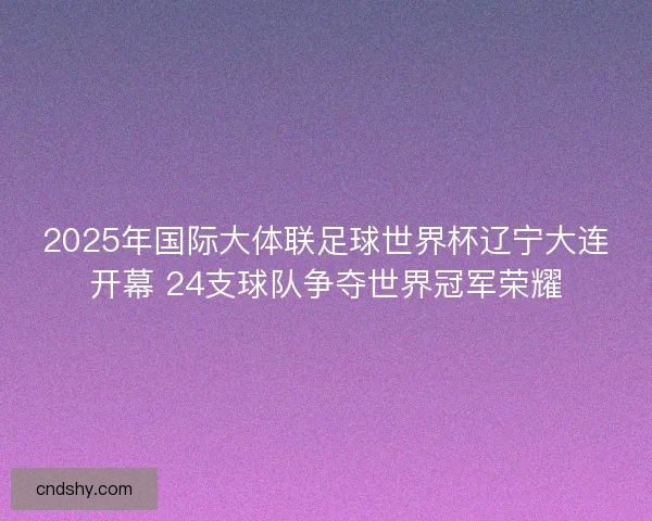 2025年国际大体联足球世界杯辽宁大连开幕 24支球队争夺世界冠军荣耀