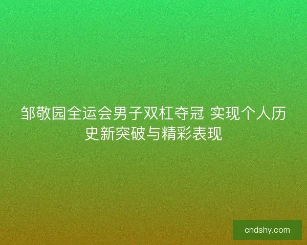 邹敬园全运会男子双杠夺冠 实现个人历史新突破与精彩表现