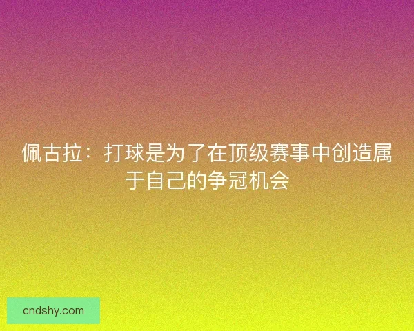 佩古拉:打球是为了在顶级赛事中创造属于自己的争冠机会 佩古拉:打球是为了在顶级赛事中创造属于自己的争冠机会