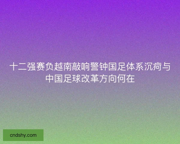 十二强赛负越南敲响警钟国足体系沉疴与中国足球改革方向何在